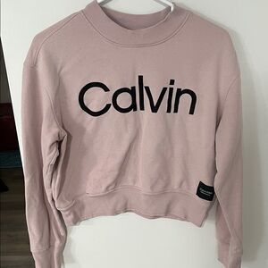 Calvin Klein Dusty Pink Logo Cropped Sweatshirt